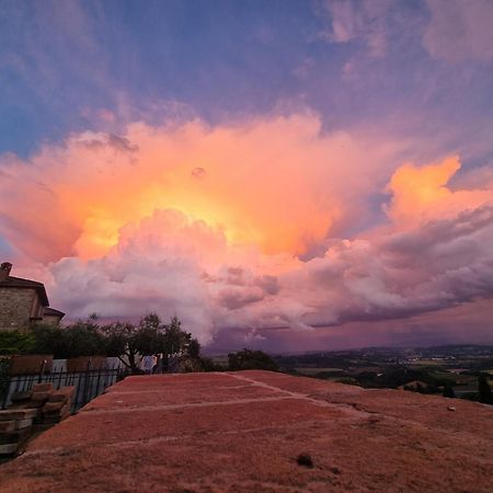 Vesionica Holiday House Perugia Civitella Benazzone エクステリア 写真